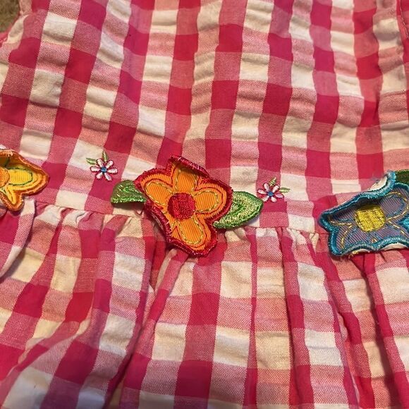 Youngland Pink and White Gingham with Flower Decals and 1/2 Button Up Back Dress - Picture 5 of 5